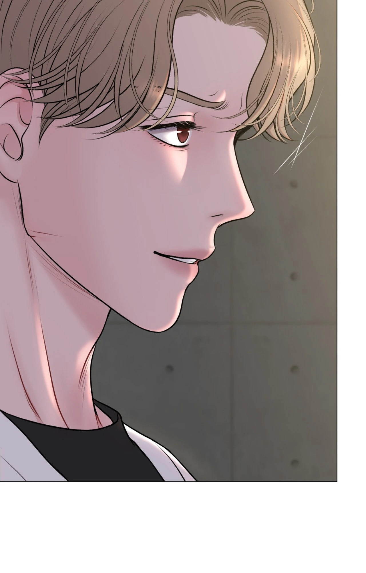 Illusion Chapter 36 page 14 - 