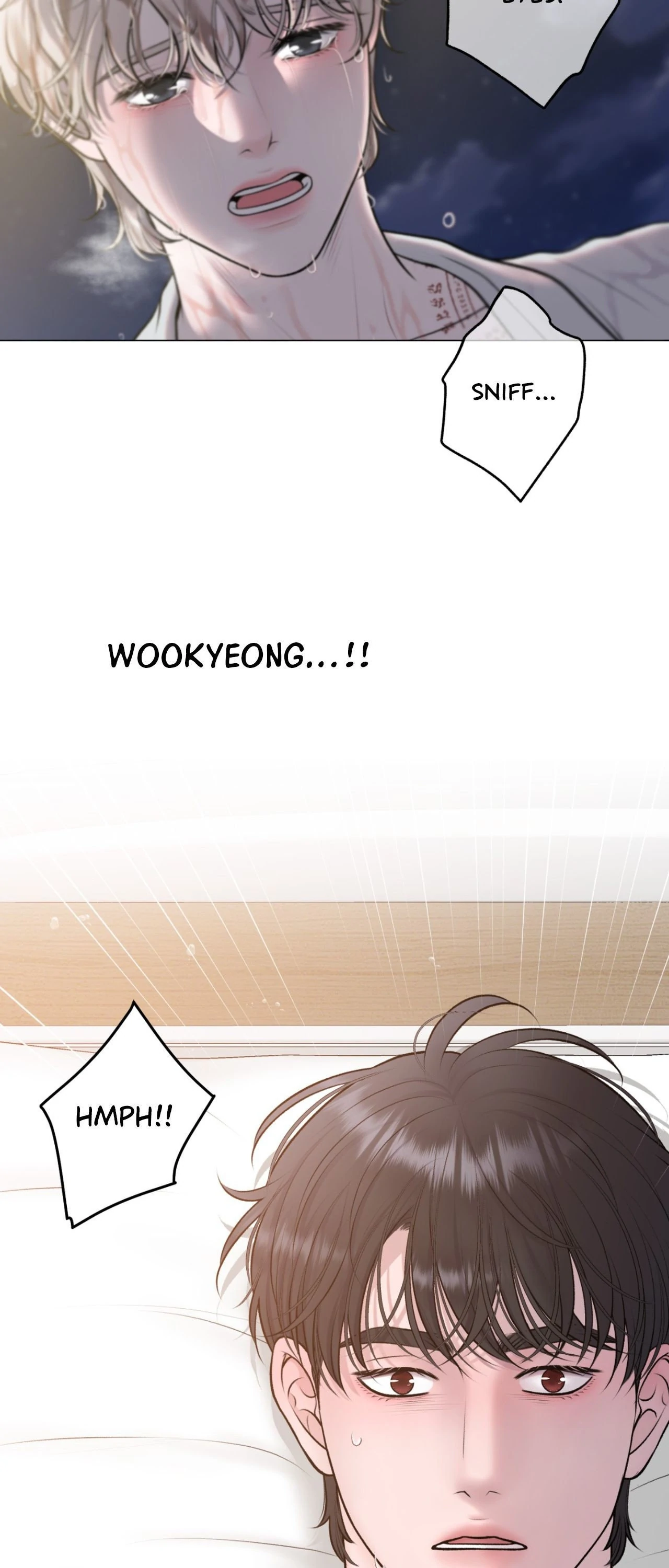 Illusion Chapter 37 page 17 - 