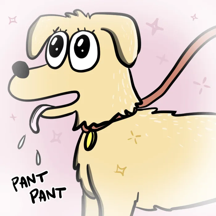 Illustrated Internet Chapter 16 page 3 - 