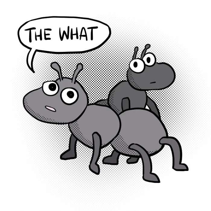Illustrated Internet Chapter 2 page 5 - 