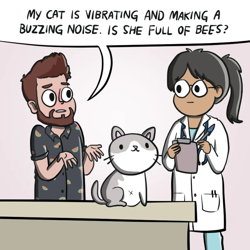 Illustrated Internet Chapter 24 page 2 - 