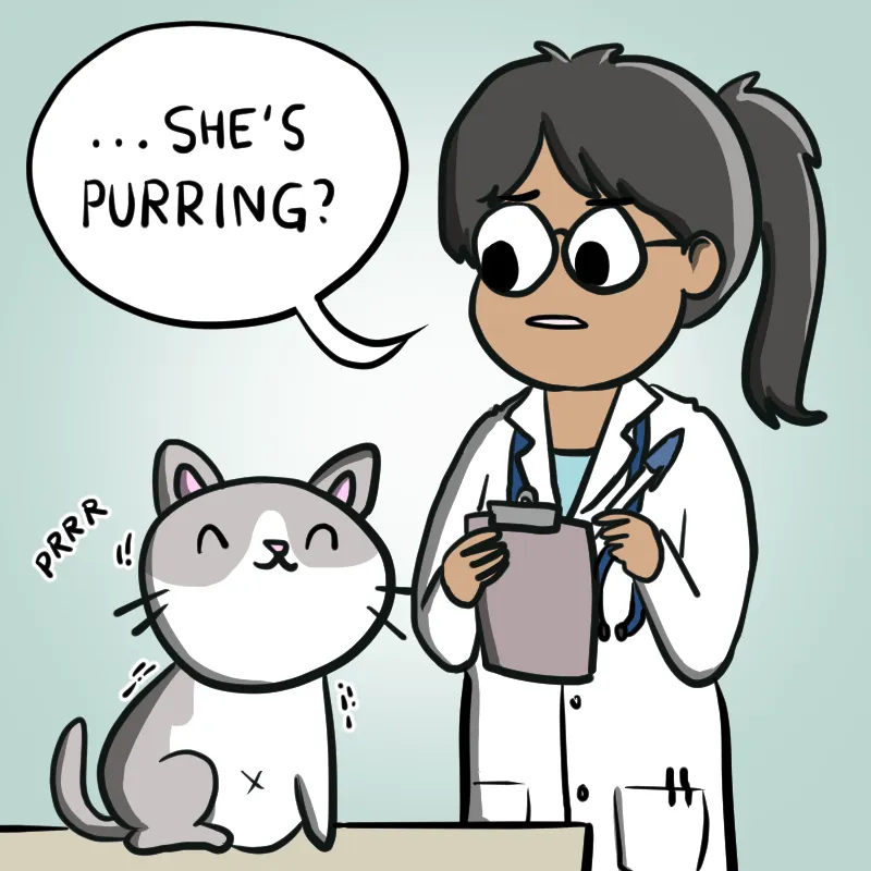 Illustrated Internet Chapter 24 page 3 - 