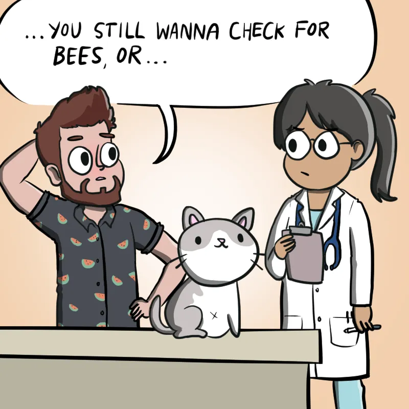 Illustrated Internet Chapter 24 page 5 - 