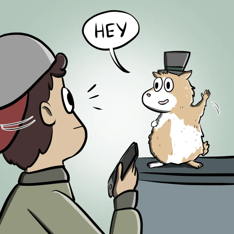 Illustrated Internet Chapter 28 page 4 - 