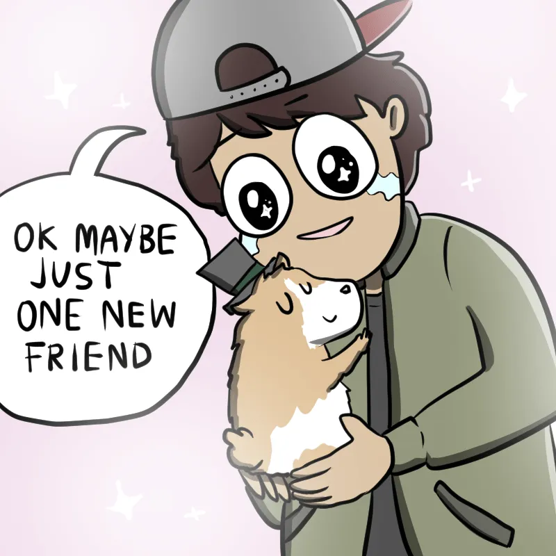 Illustrated Internet Chapter 28 page 5 - 