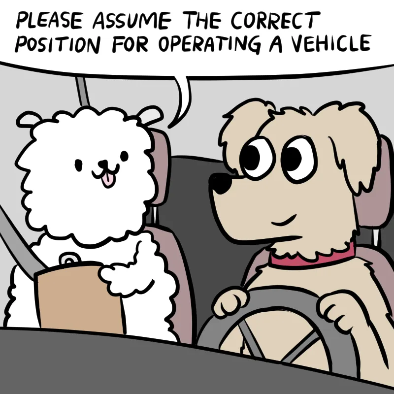 Illustrated Internet Chapter 37 page 3 - 
