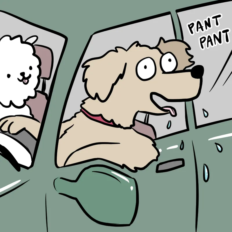 Illustrated Internet Chapter 37 page 4 - 