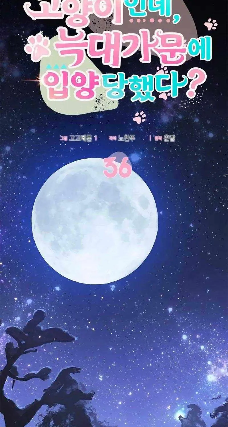I’m a Cat, but I Was Adopted by a Wolf Family? Chapter 36 page 2 - 