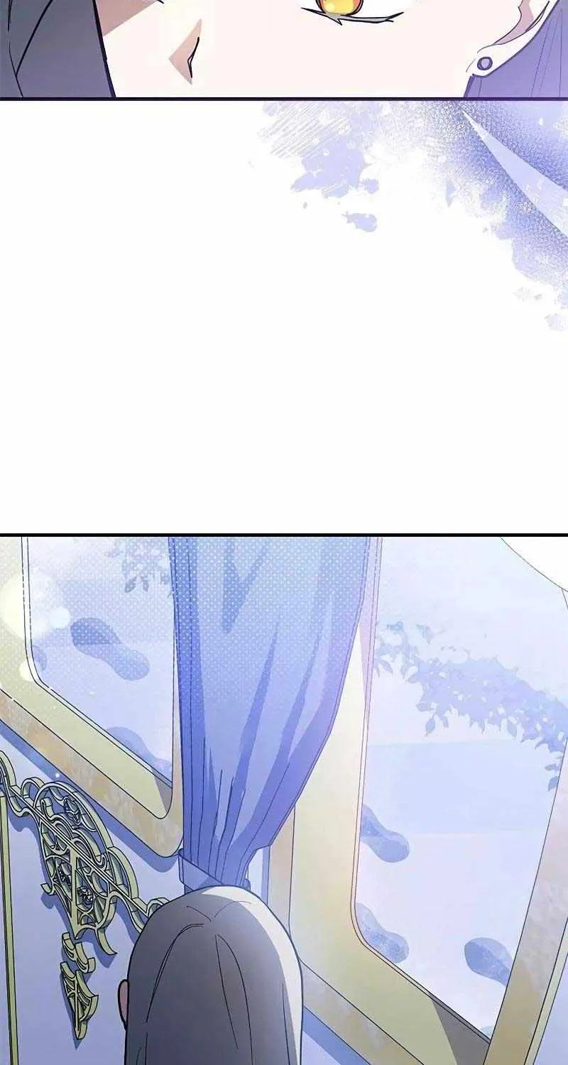 I’m a Cat, but I Was Adopted by a Wolf Family? Chapter 36 page 8 - 
