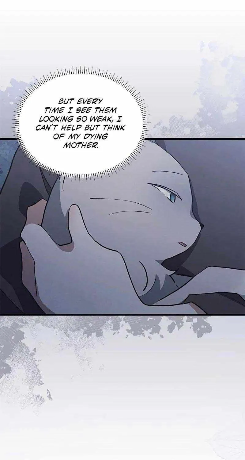 I’m a Cat, but I Was Adopted by a Wolf Family? Chapter 38 page 13 - 