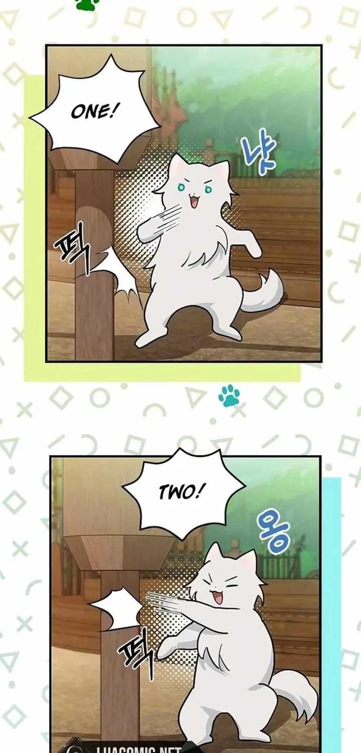 I’m a Cat, but I Was Adopted by a Wolf Family? Chapter 39 page 35 - 
