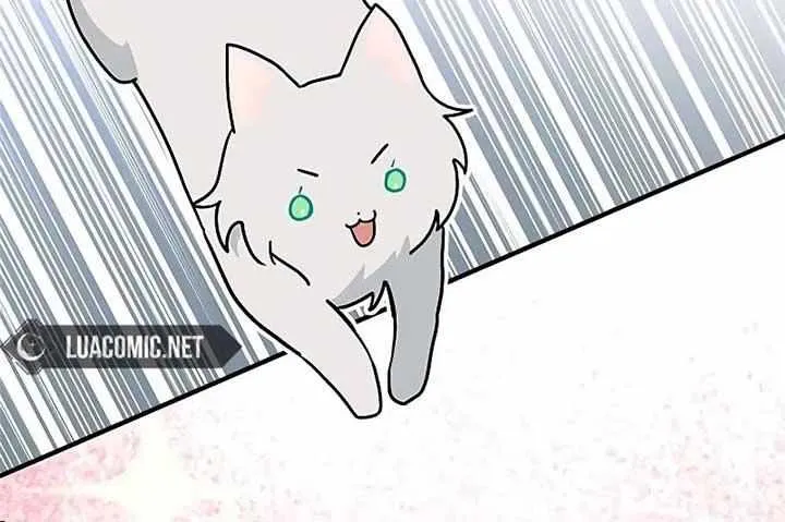 I’m a Cat, but I Was Adopted by a Wolf Family? Chapter 40 page 36 - 