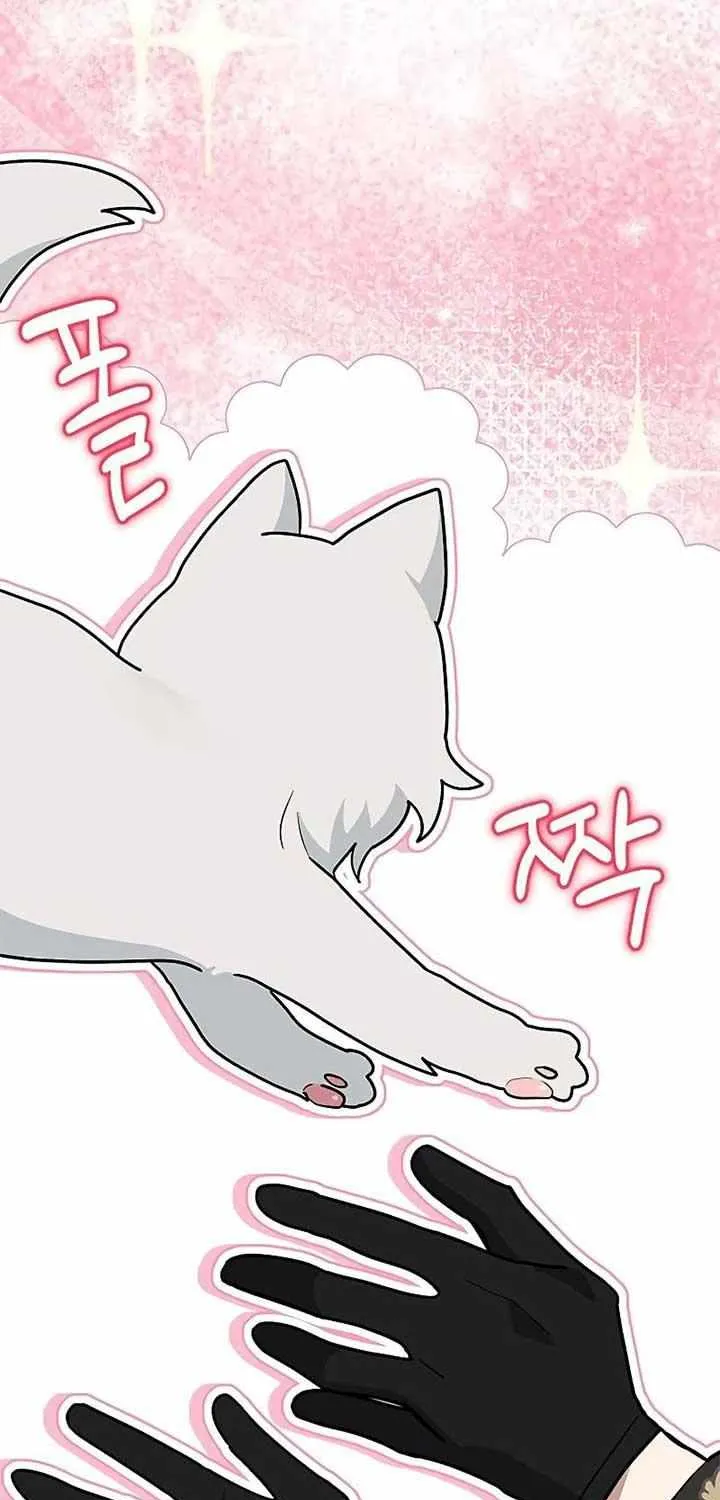 I’m a Cat, but I Was Adopted by a Wolf Family? Chapter 40 page 37 - 