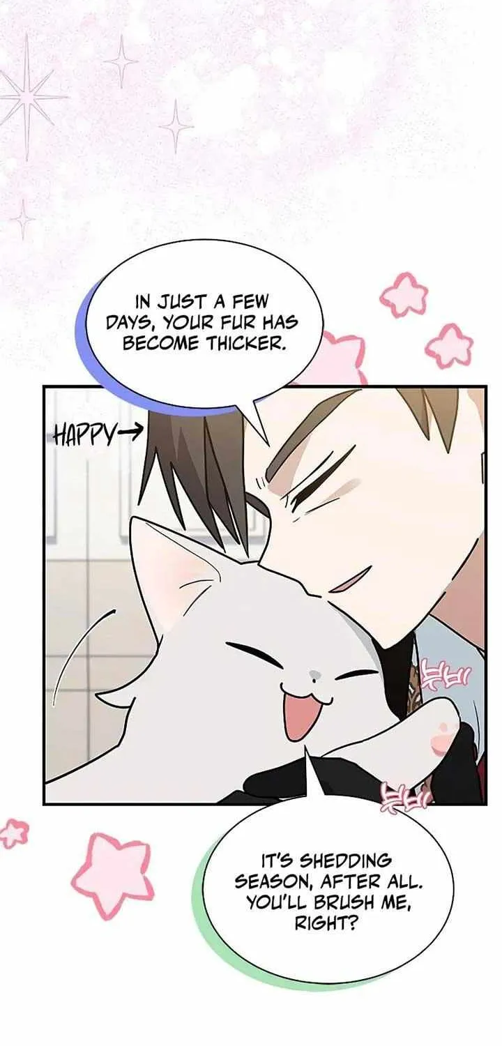 I’m a Cat, but I Was Adopted by a Wolf Family? Chapter 40 page 42 - 
