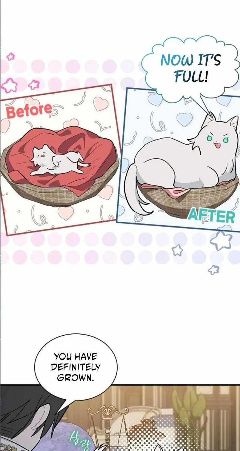 I’m a Cat, but I Was Adopted by a Wolf Family? Chapter 41 page 11 - 