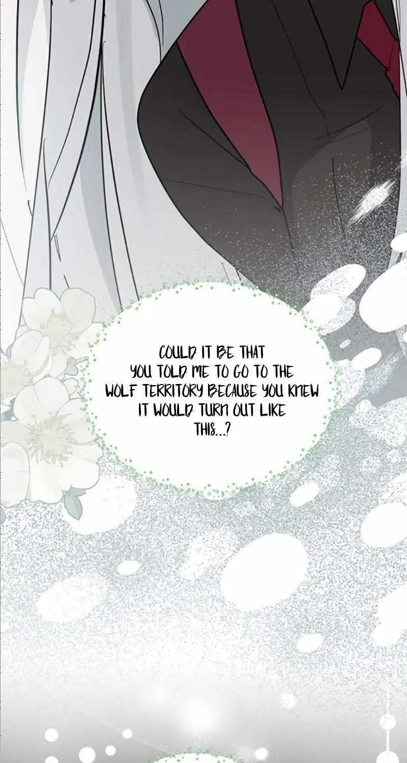 I’m a Cat, but I Was Adopted by a Wolf Family? Chapter 41 page 61 - 