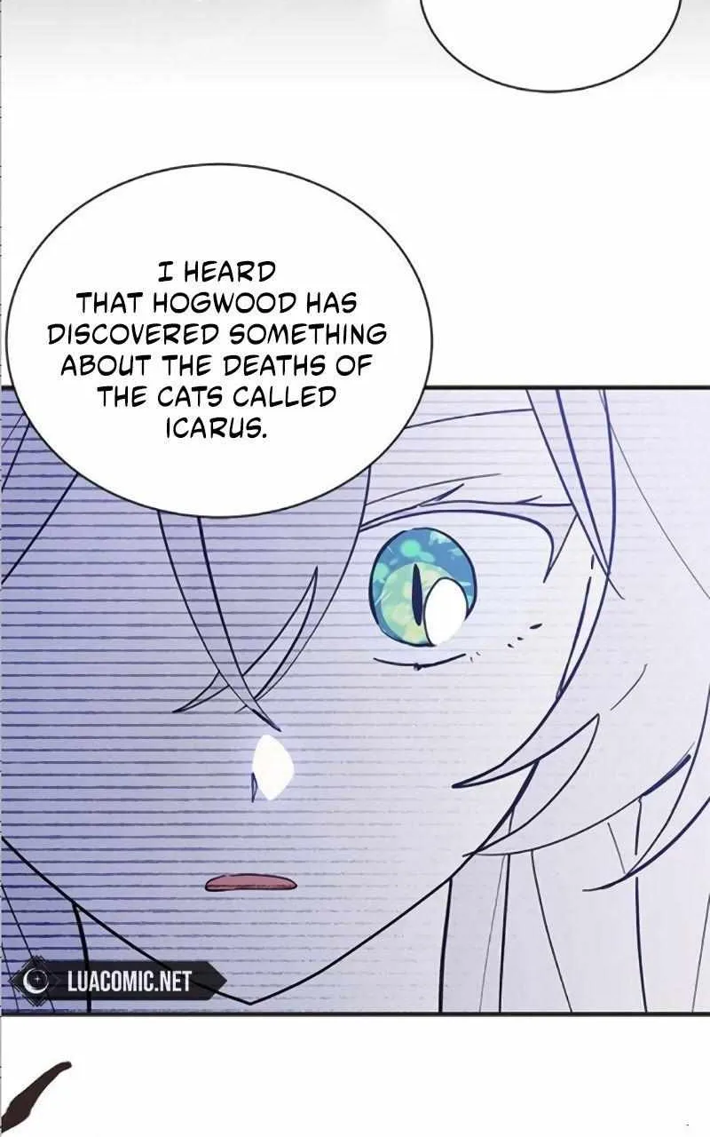 I’m a Cat, but I Was Adopted by a Wolf Family? Chapter 41 page 63 - 