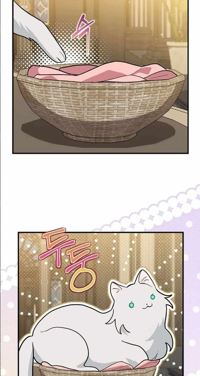 I’m a Cat, but I Was Adopted by a Wolf Family? Chapter 41 page 9 - 