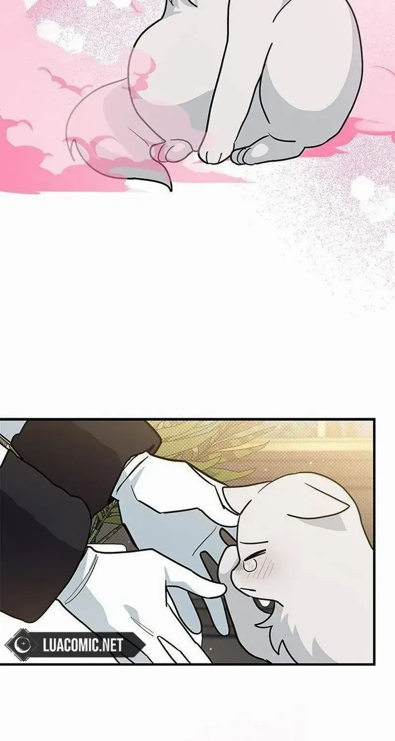 I’m a Cat, but I Was Adopted by a Wolf Family? Chapter 42 page 22 - 