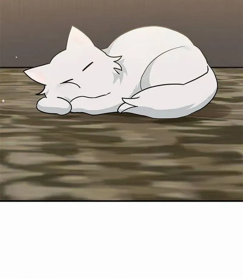 I’m a Cat, but I Was Adopted by a Wolf Family? Chapter 42 page 37 - 