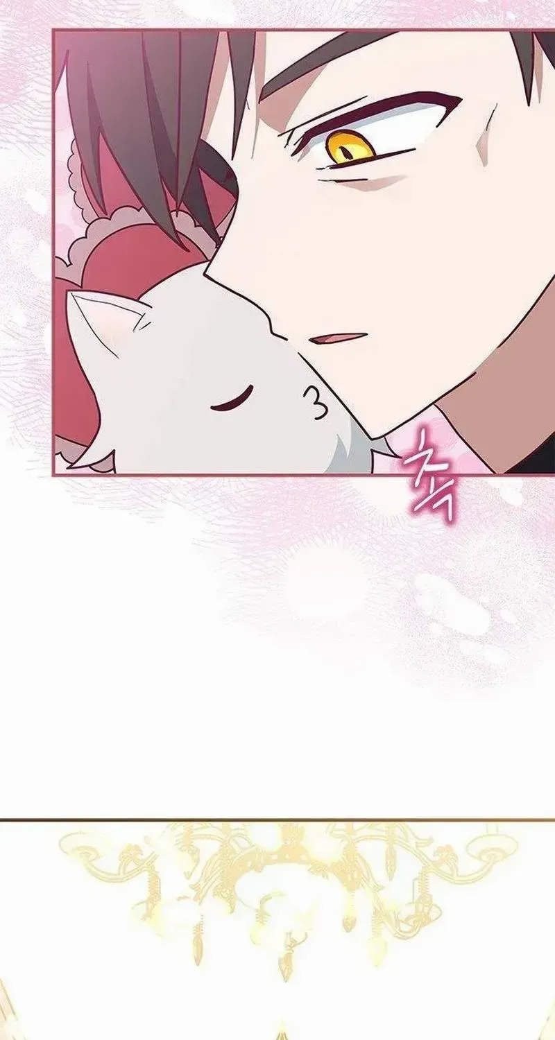 I’m a Cat, but I Was Adopted by a Wolf Family? Chapter 42 page 64 - 