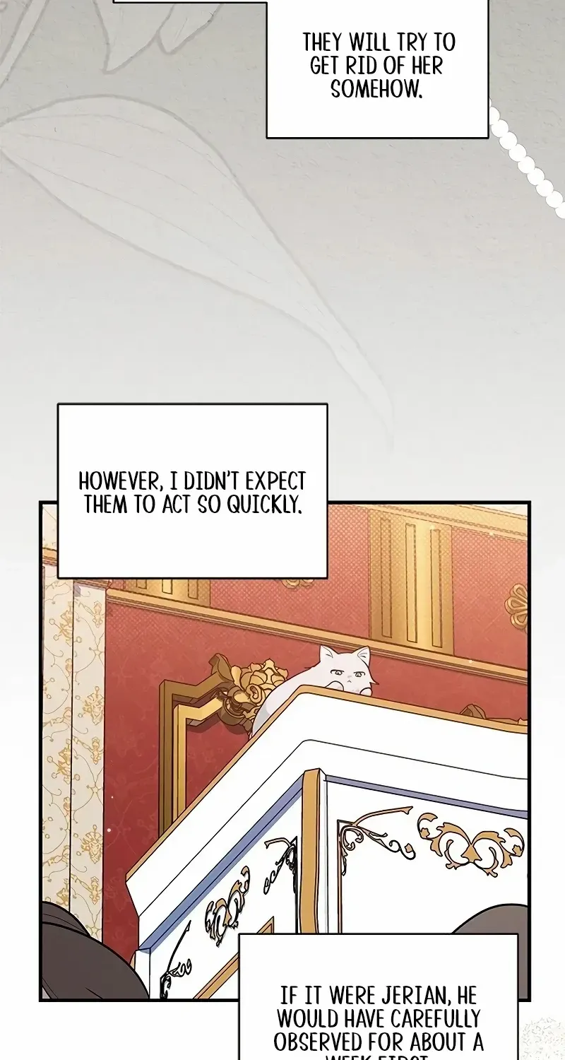 I’m a Cat, but I Was Adopted by a Wolf Family? Chapter 45 page 5 - 