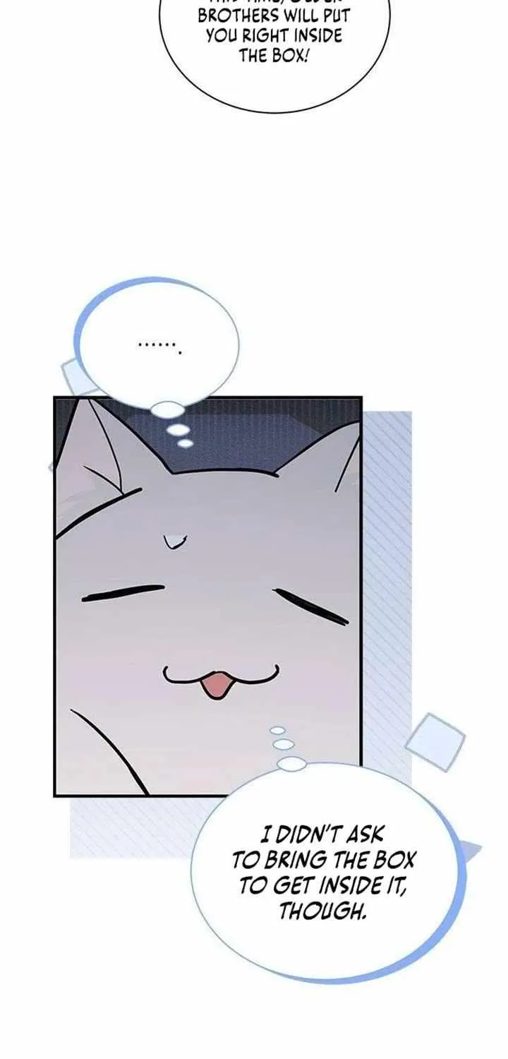 I’m a Cat, but I Was Adopted by a Wolf Family? Chapter 49 page 5 - 