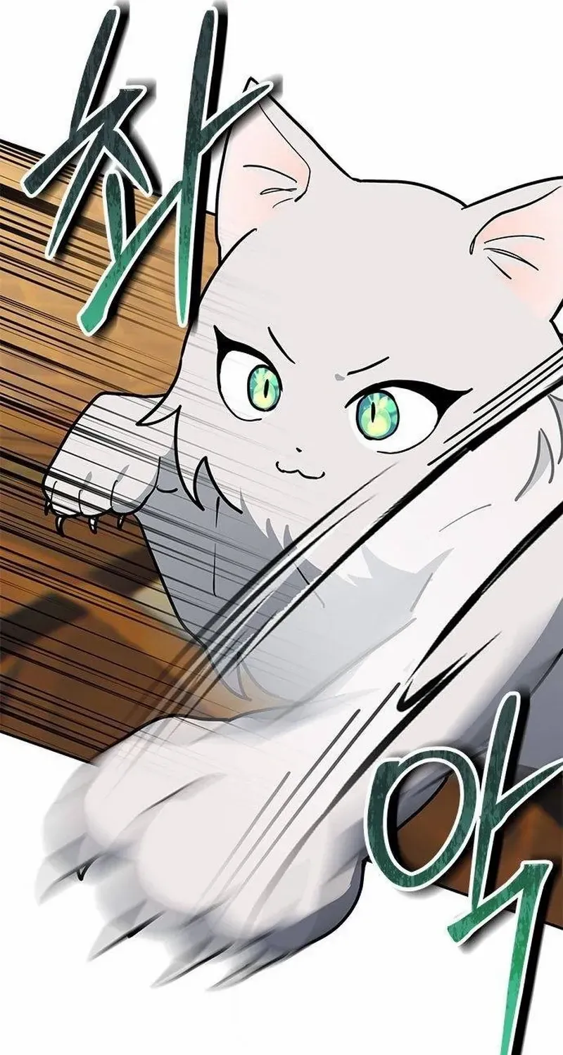 I’m a Cat, but I Was Adopted by a Wolf Family? Chapter 50 page 19 - 