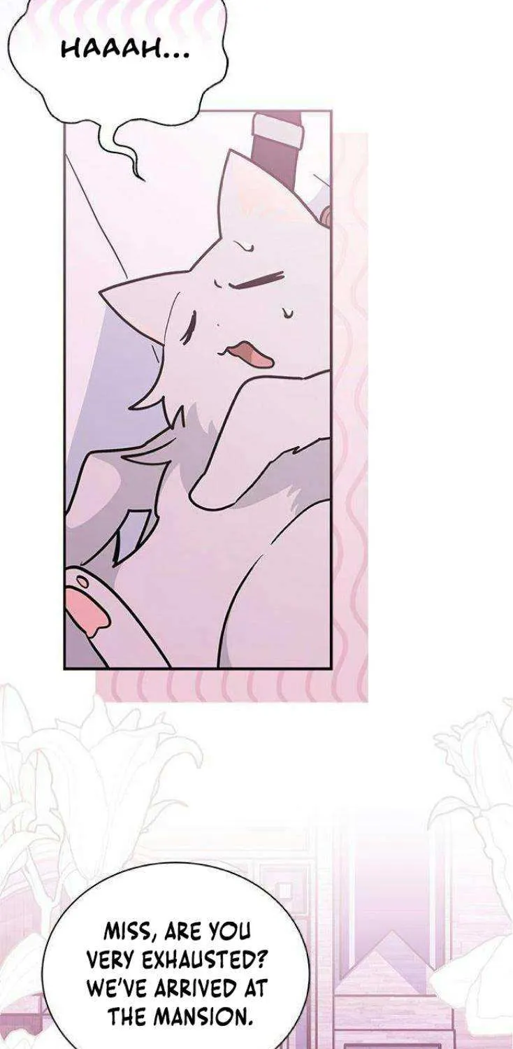 I’m a Cat, but I Was Adopted by a Wolf Family? Chapter 52 page 3 - 