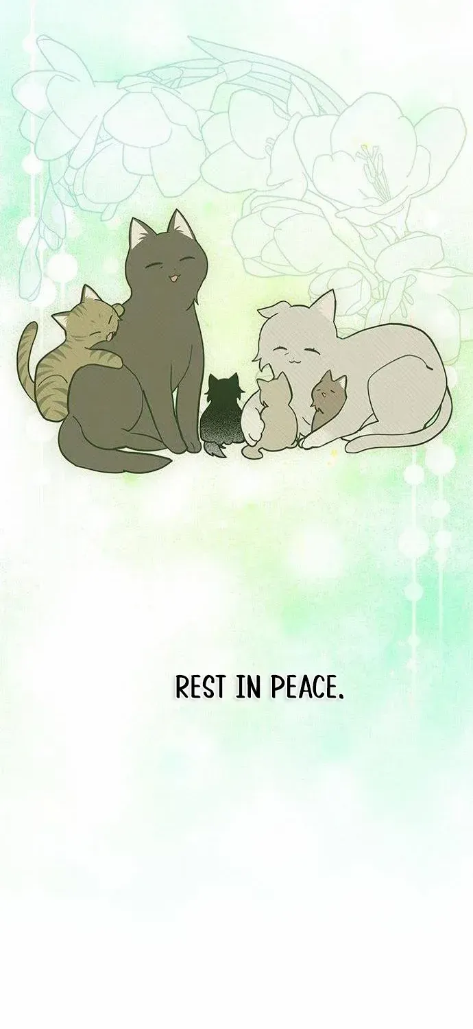 I’m a Cat, but I Was Adopted by a Wolf Family? Chapter 55 page 58 - 
