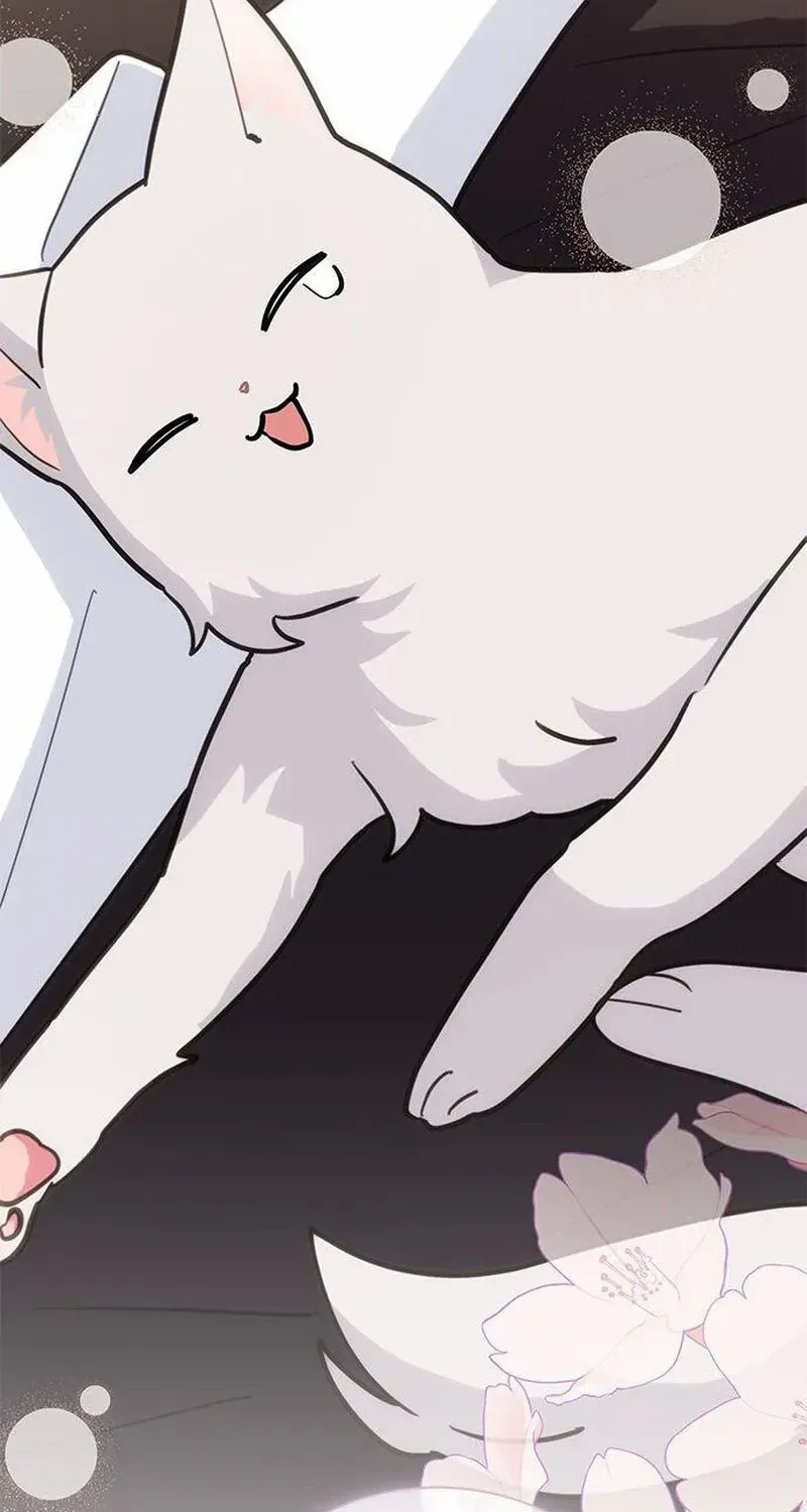 I’m a Cat, but I Was Adopted by a Wolf Family? Chapter 58 page 89 - 