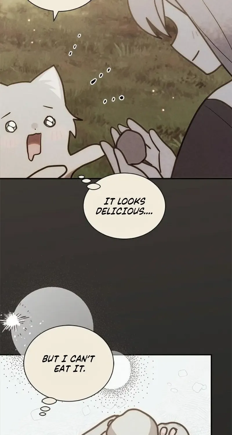 I’m a Cat, but I Was Adopted by a Wolf Family? Chapter 66 page 34 - 