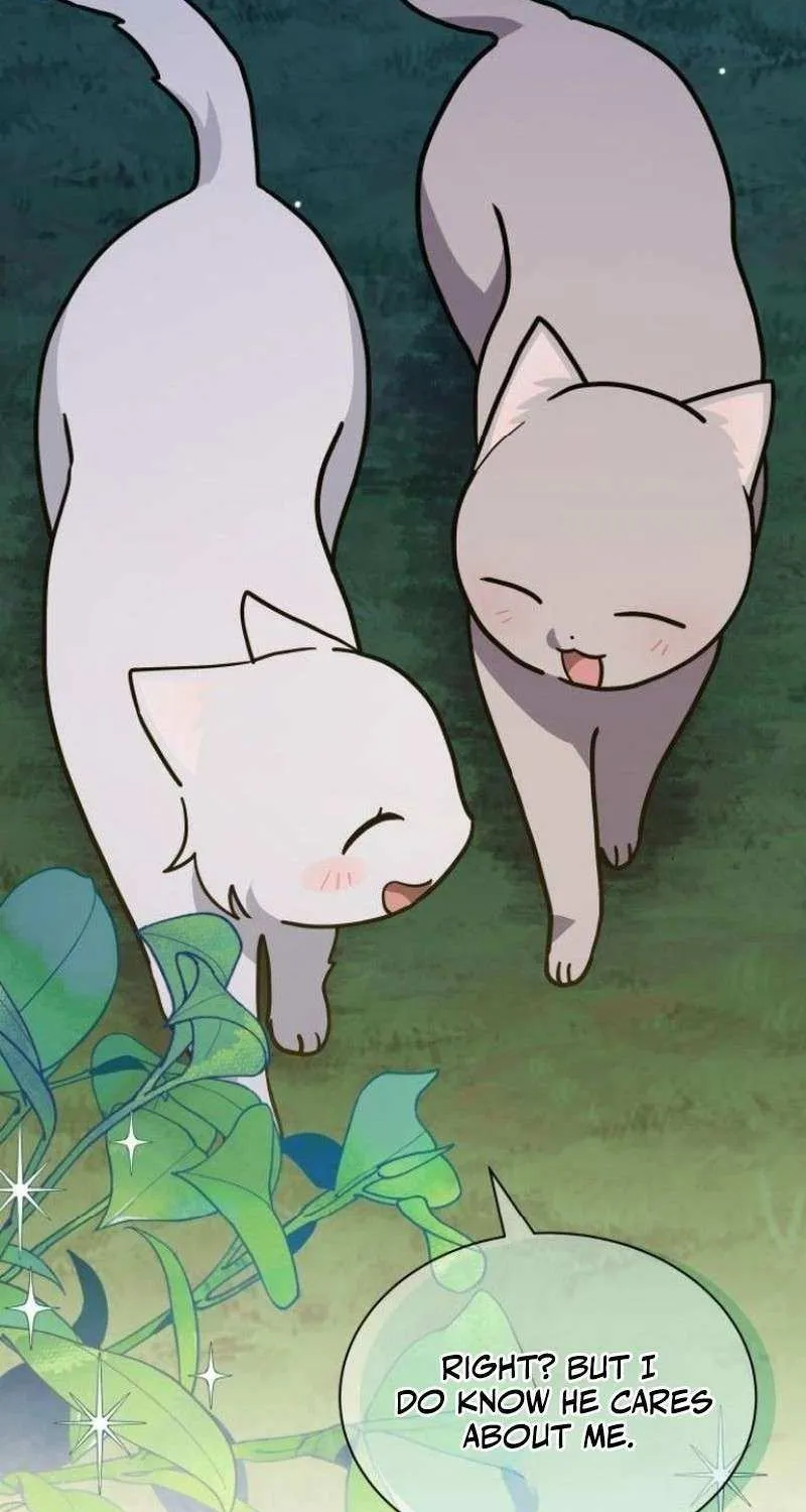 I’m a Cat, but I Was Adopted by a Wolf Family? Chapter 72 page 40 - 