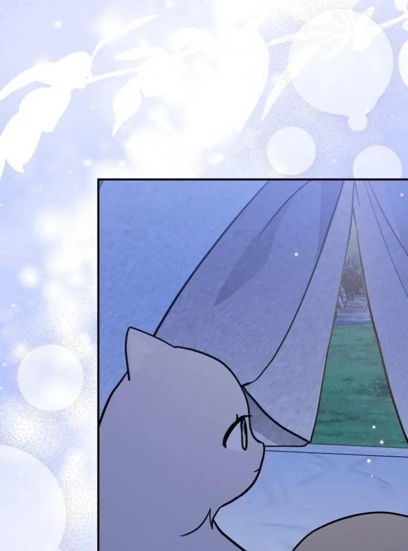 I’m a Cat, but I Was Adopted by a Wolf Family? Chapter 73 page 82 - 