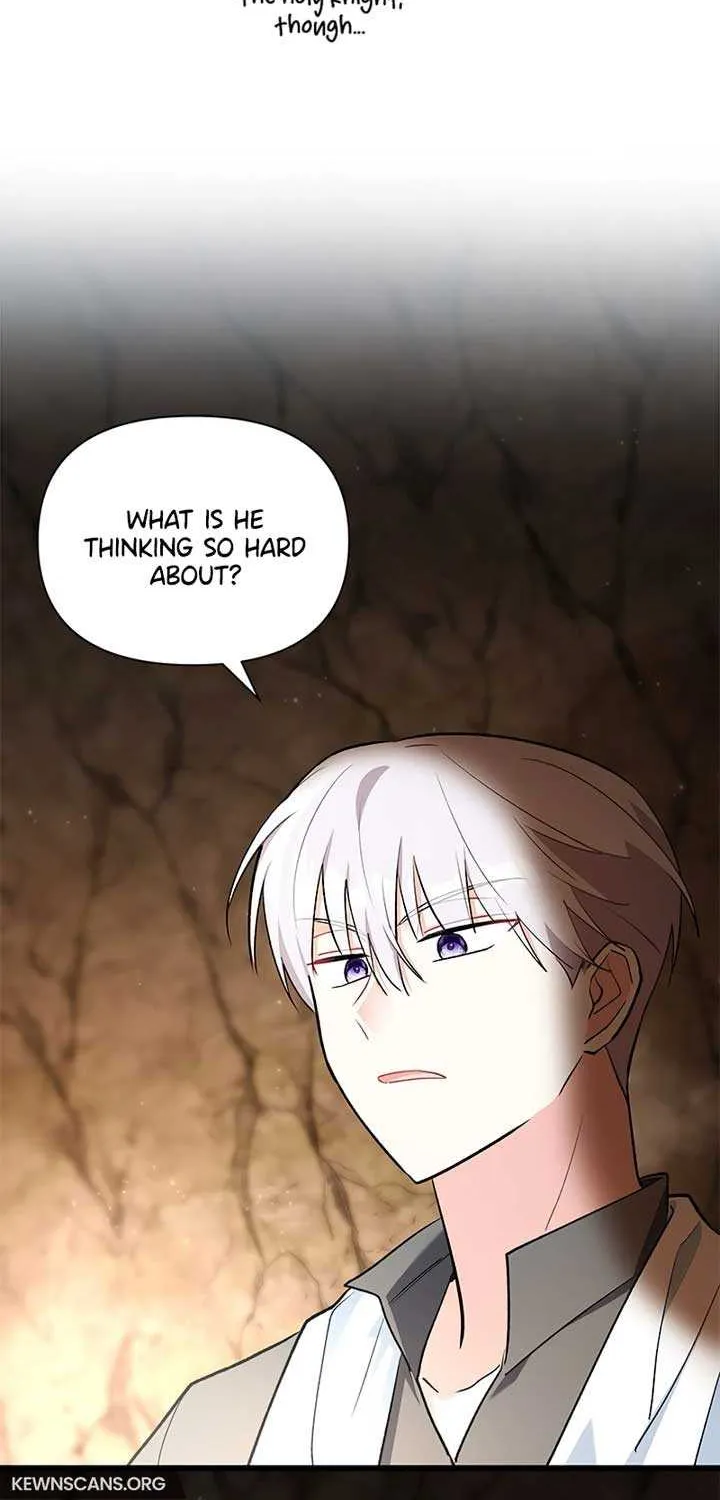 I’m Repaying The Kindness That Raised Me With Obsession Chapter 11 page 13 - 