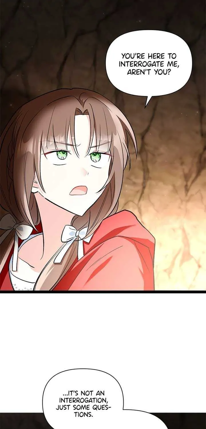 I’m Repaying The Kindness That Raised Me With Obsession Chapter 11 page 14 - 