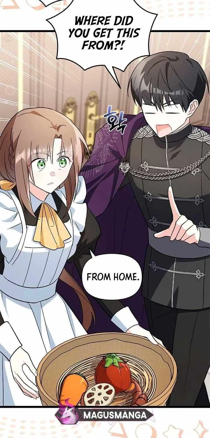 I’m Repaying The Kindness That Raised Me With Obsession Chapter 13 page 32 - 