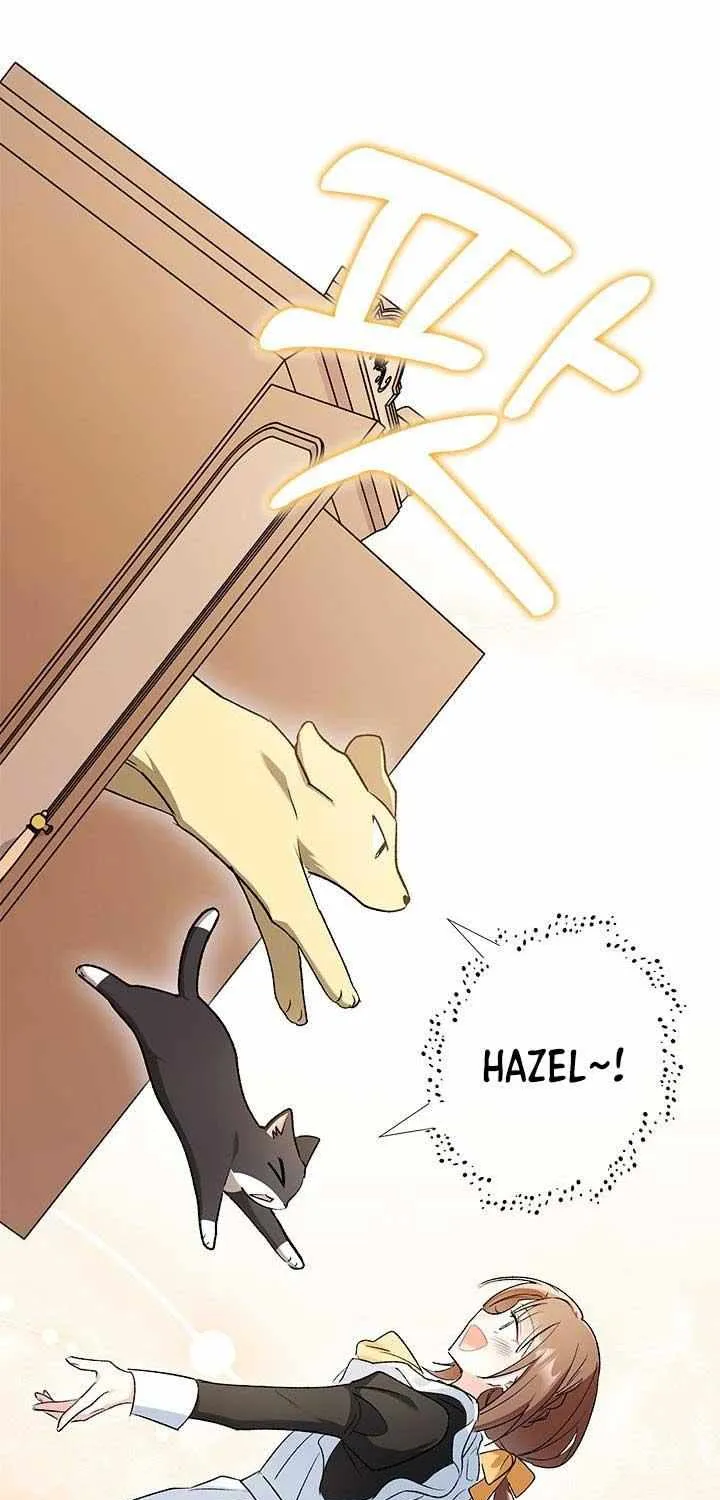 I’m Repaying The Kindness That Raised Me With Obsession Chapter 14 page 26 - 