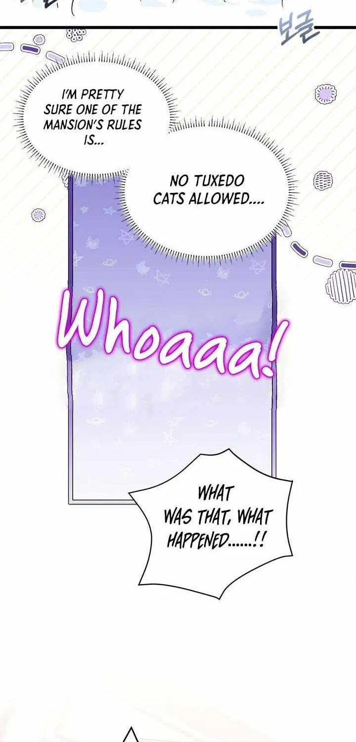 I’m Repaying The Kindness That Raised Me With Obsession Chapter 14 page 37 - 
