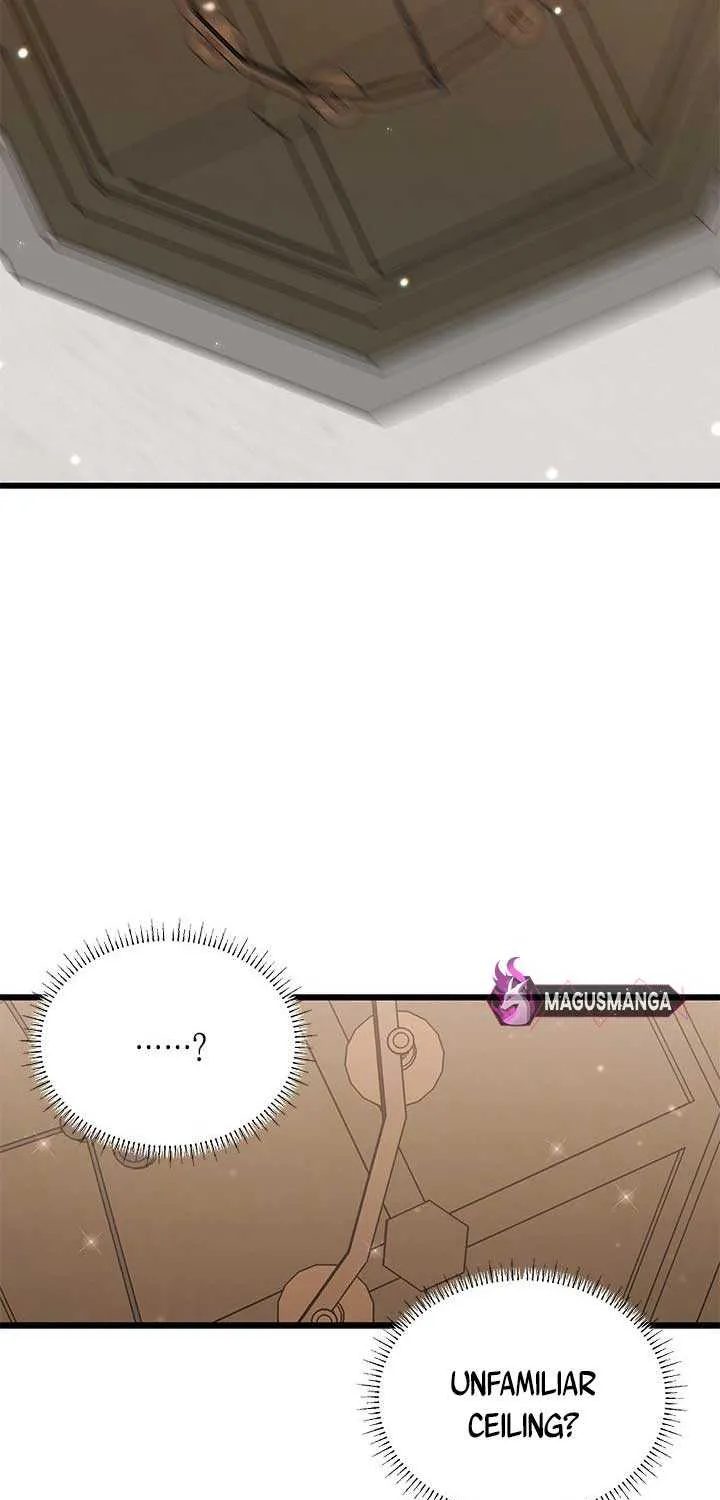I’m Repaying The Kindness That Raised Me With Obsession Chapter 2 page 12 - 