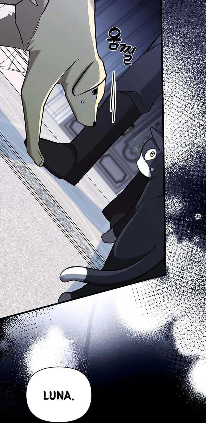 I’m Repaying The Kindness That Raised Me With Obsession Chapter 22 page 88 - 