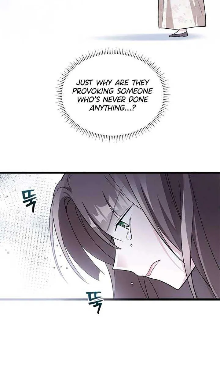 I’m Repaying The Kindness That Raised Me With Obsession Chapter 23 page 27 - 