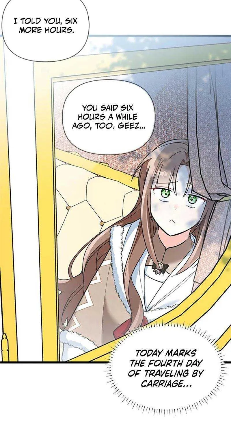 I’m Repaying The Kindness That Raised Me With Obsession Chapter 27 page 29 - 