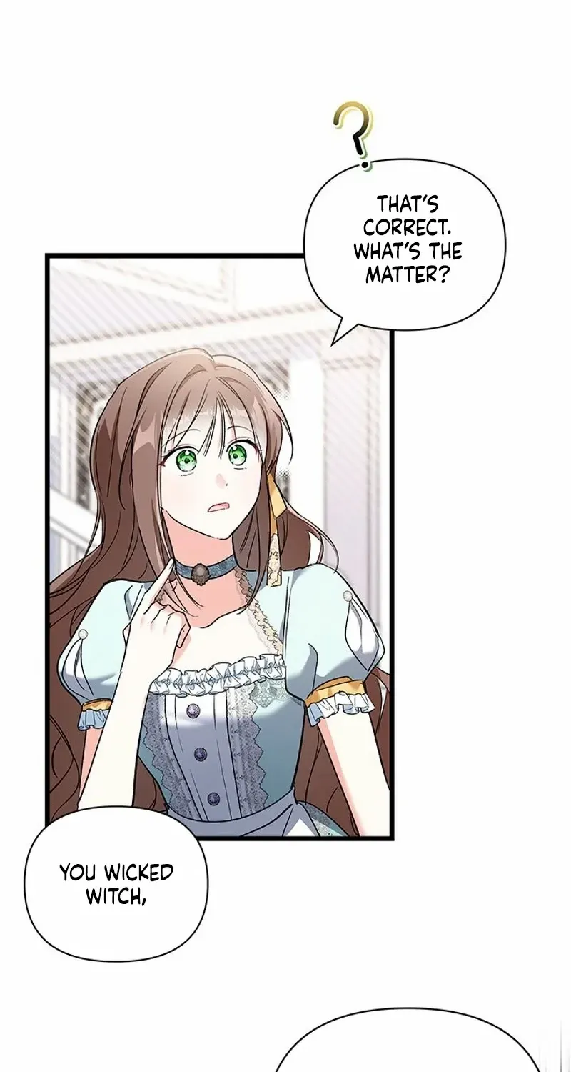 I’m Repaying The Kindness That Raised Me With Obsession Chapter 38 page 12 - 