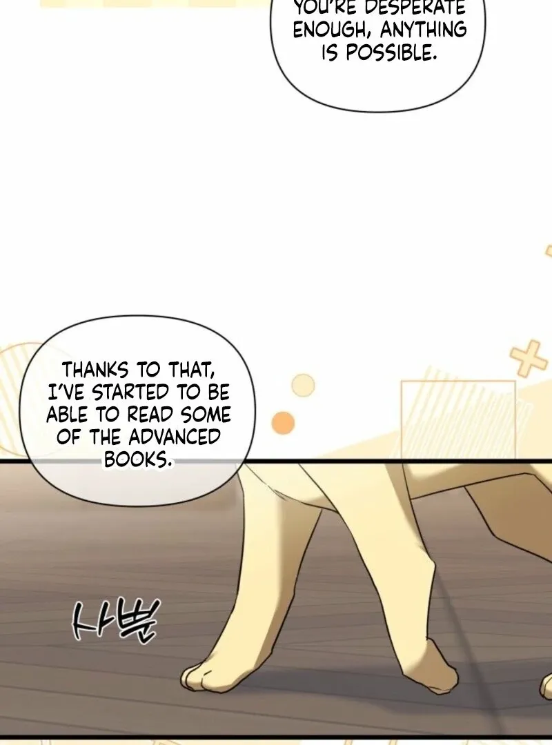 I’m Repaying The Kindness That Raised Me With Obsession Chapter 47 page 59 - 