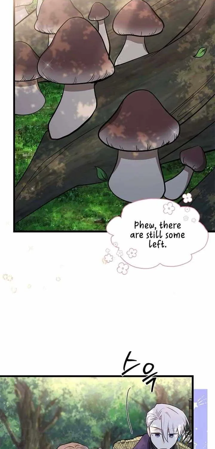 I’m Repaying The Kindness That Raised Me With Obsession Chapter 9 page 71 - 