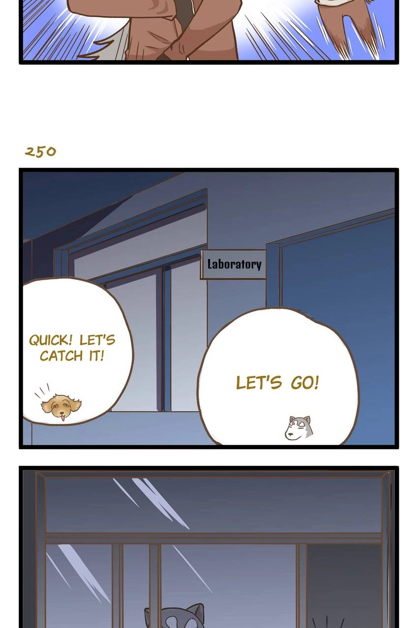 I'm The Only Human Being In My School Chapter 36 page 11 - 