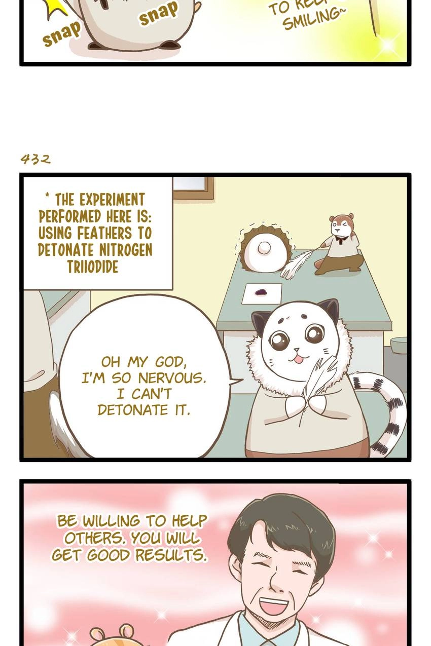 I'm The Only Human Being In My School Chapter 62 page 11 - 