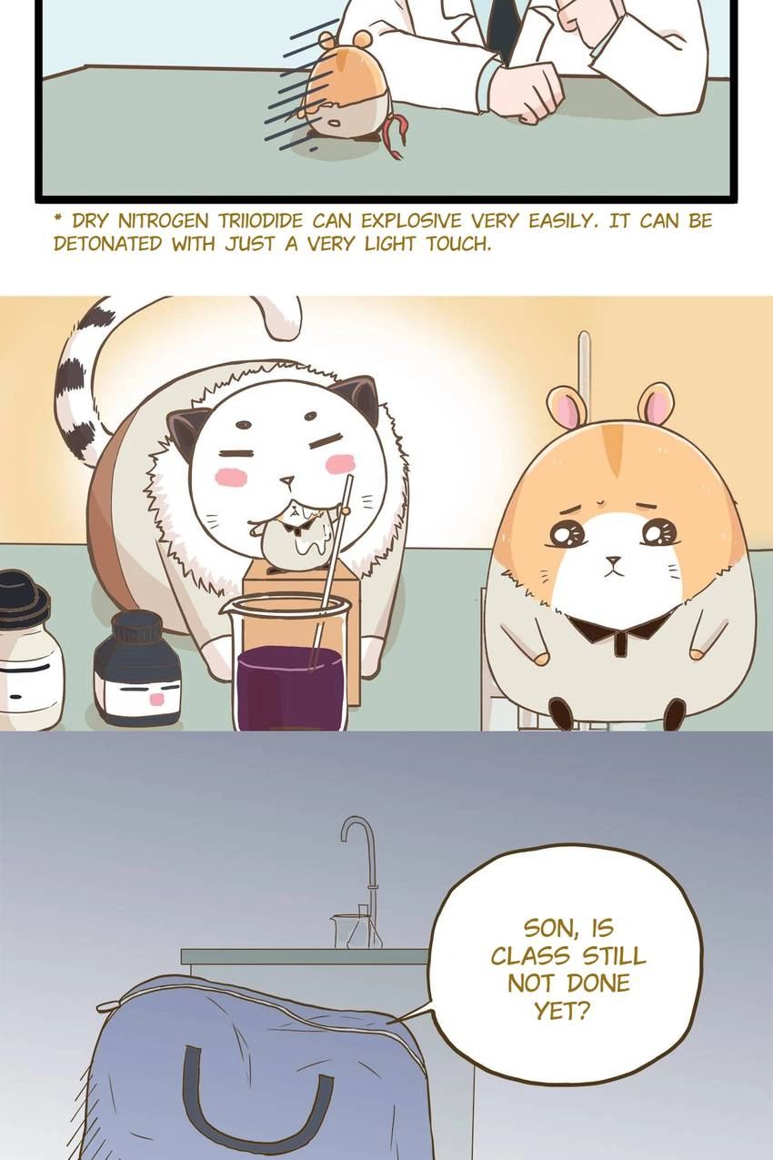 I'm The Only Human Being In My School Chapter 62 page 15 - 