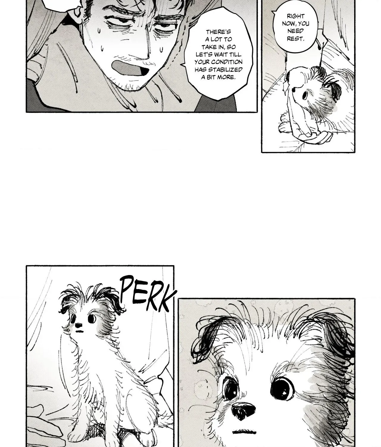 Immortal Days Chapter 294 page 25 - 